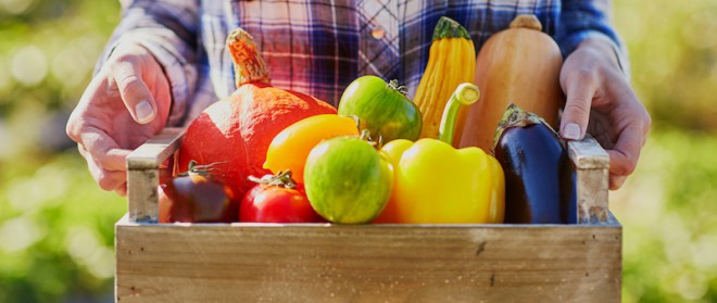 Vegetarisch Leben = Gesünder Leben?